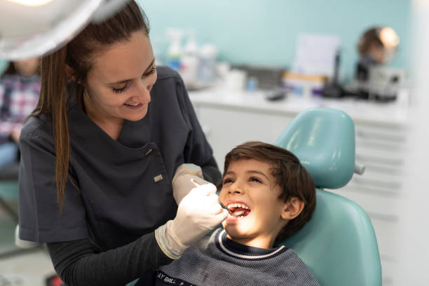 Best Emergency Dental Care for Trauma or Injury in Webberville, MI